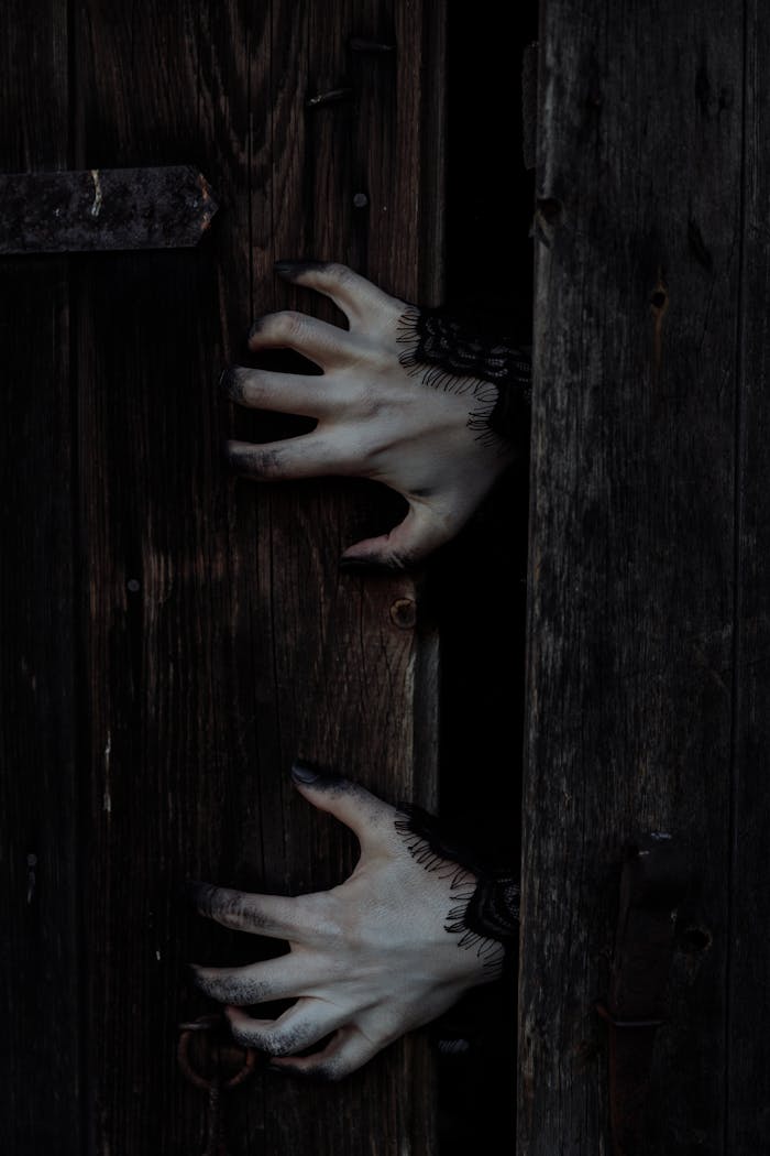 embark